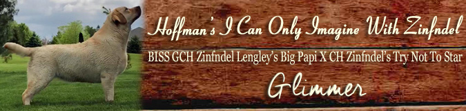 Hoffman's I Can Only Imagine With Zinfndel 
