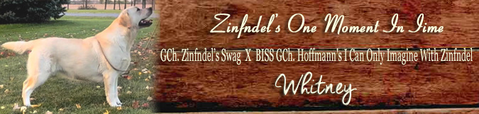 Zinfndel's One Moment In Time  